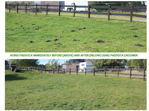 Before and After using Paddock Groomer  on a bumpy, rolling paddock