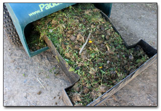 Original Groomer tray being emptied