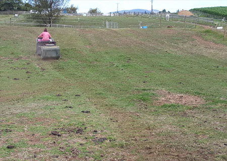 Paddock Groomer on sloping paddocks